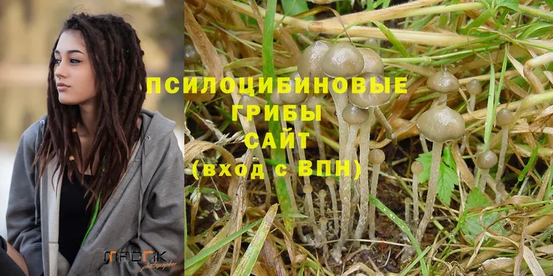 Галлюциногенные грибы MAGIC MUSHROOMS  кракен ссылки  Киселёвск 